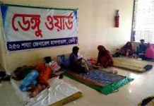 Feni in Crisis as Dengue Cases Surpass 500