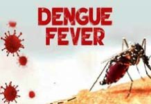 10 Die of Dengue in 24 Hours, 1,069 Admitted to Hospitals