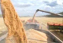 58,359 tonnes of US wheat arrive at Ctg port